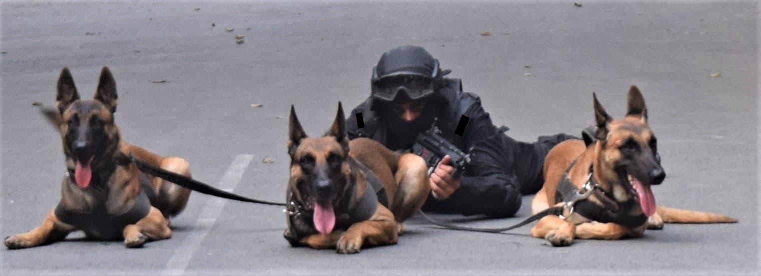ITBP Police K9 Workshop - photo 1
