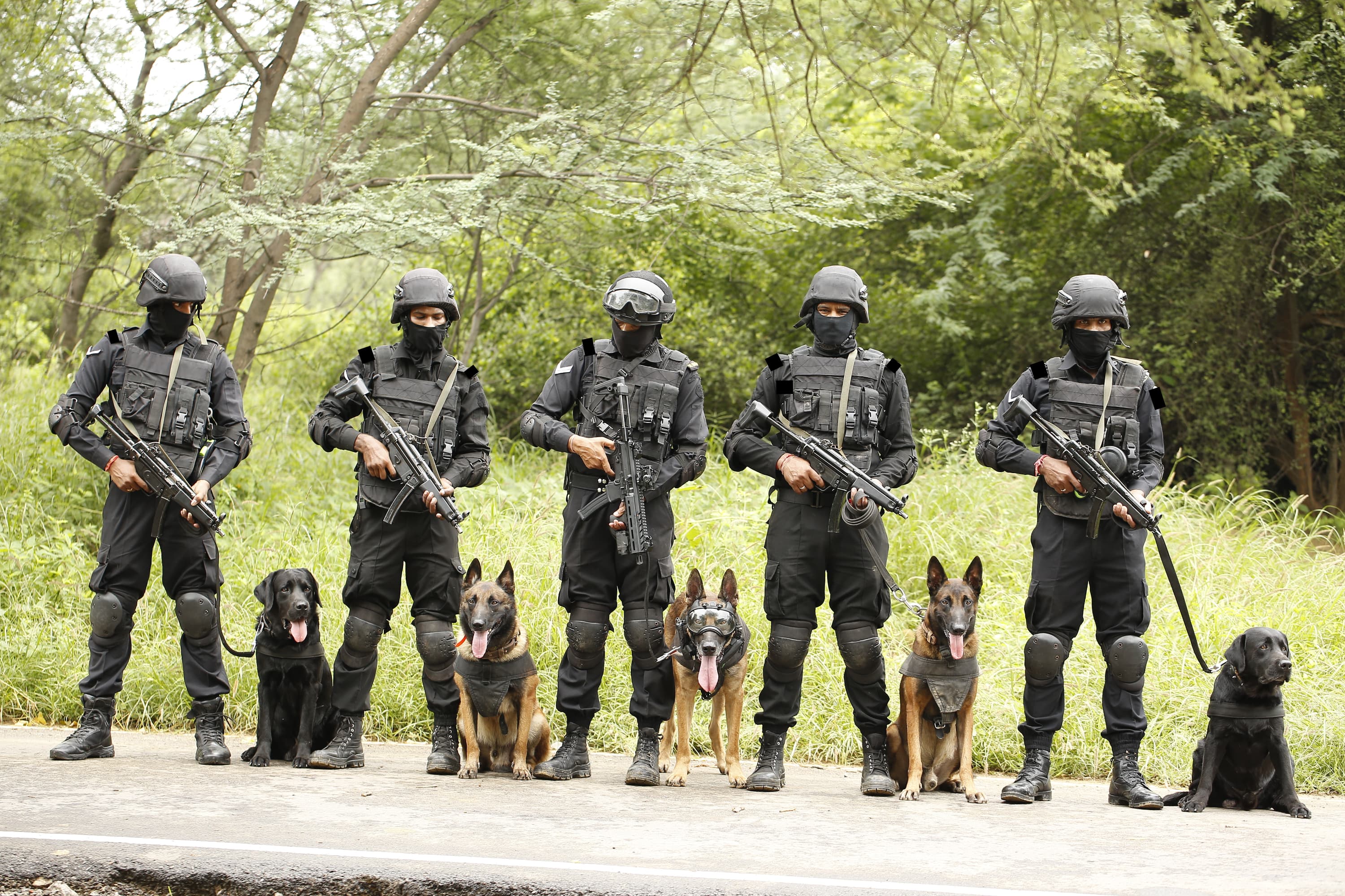 Indian Army Police K9 Workshop - photo 2