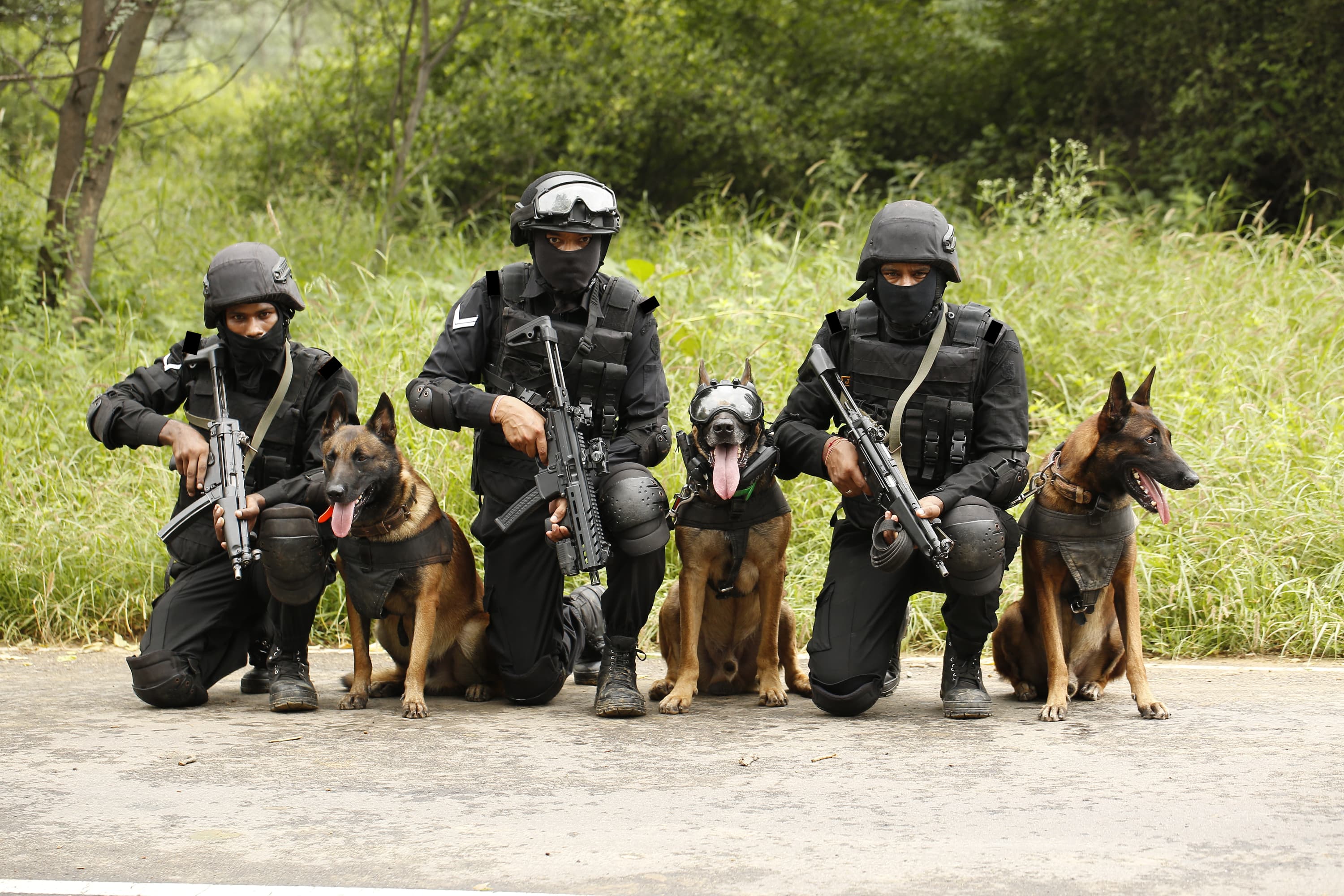 Indian Army Police K9 Workshop - photo 3