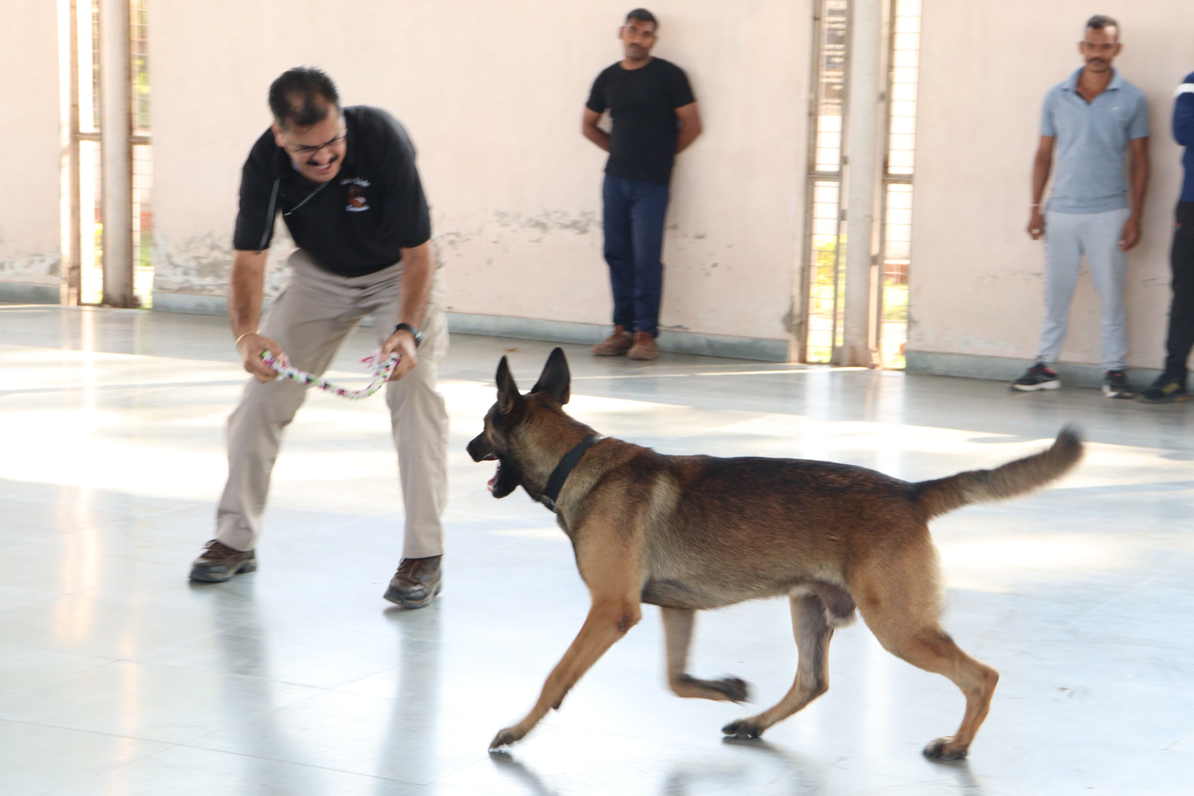 Indian Army / Remount Veterinary Corps K9 Seminar - photo 3
