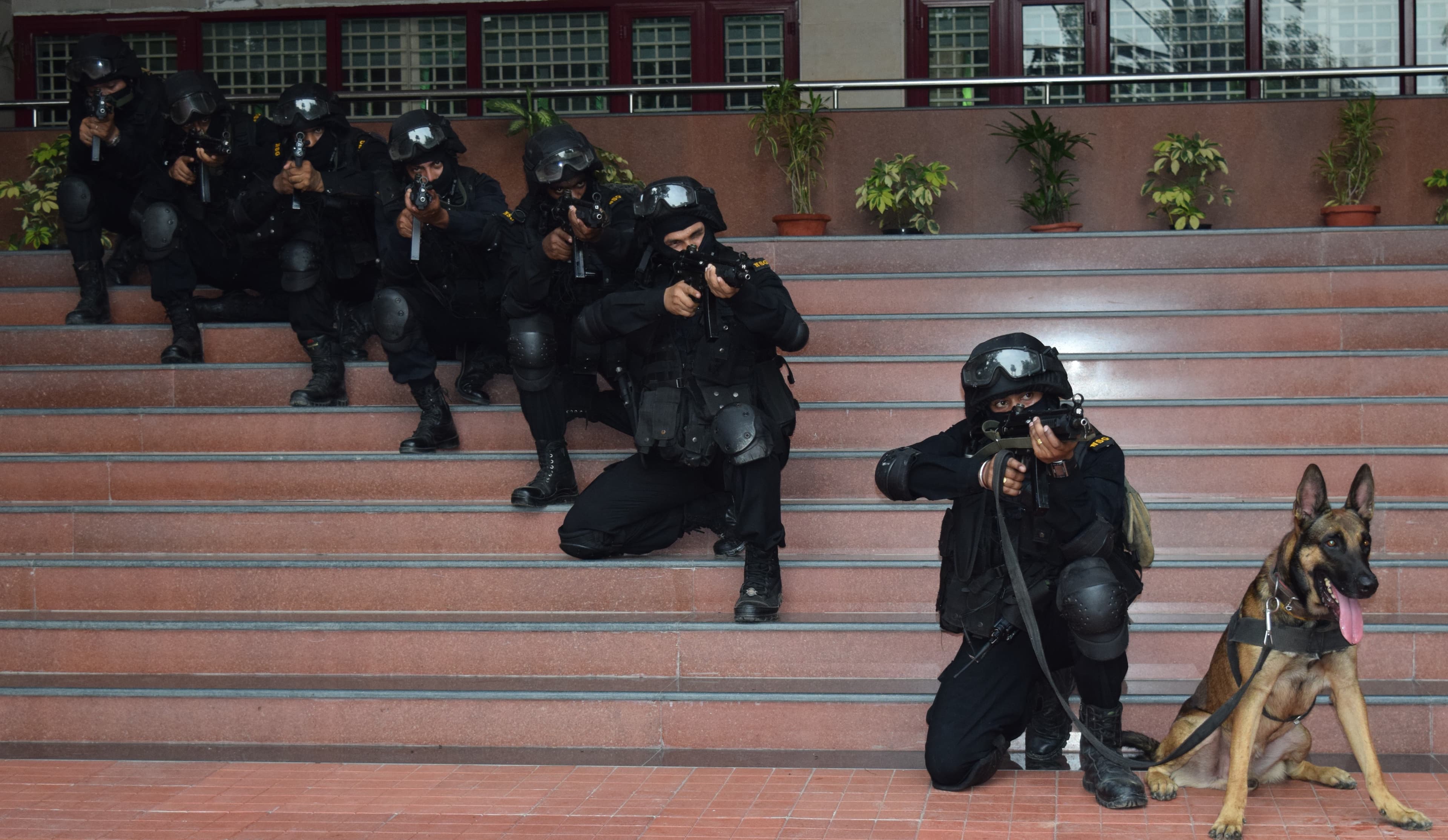 CRPF Police K9 Workshop - photo 1